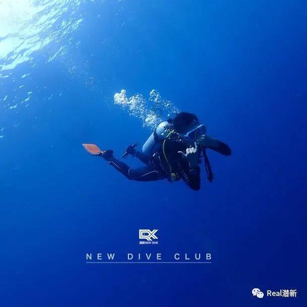 拯救精灵的土地8